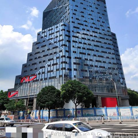 广州市禁摩到什么年