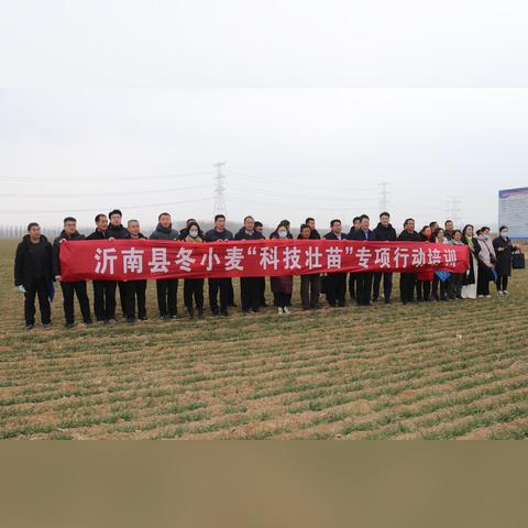 临沂市麦田婚礼策划公司的长尾关键词有什么