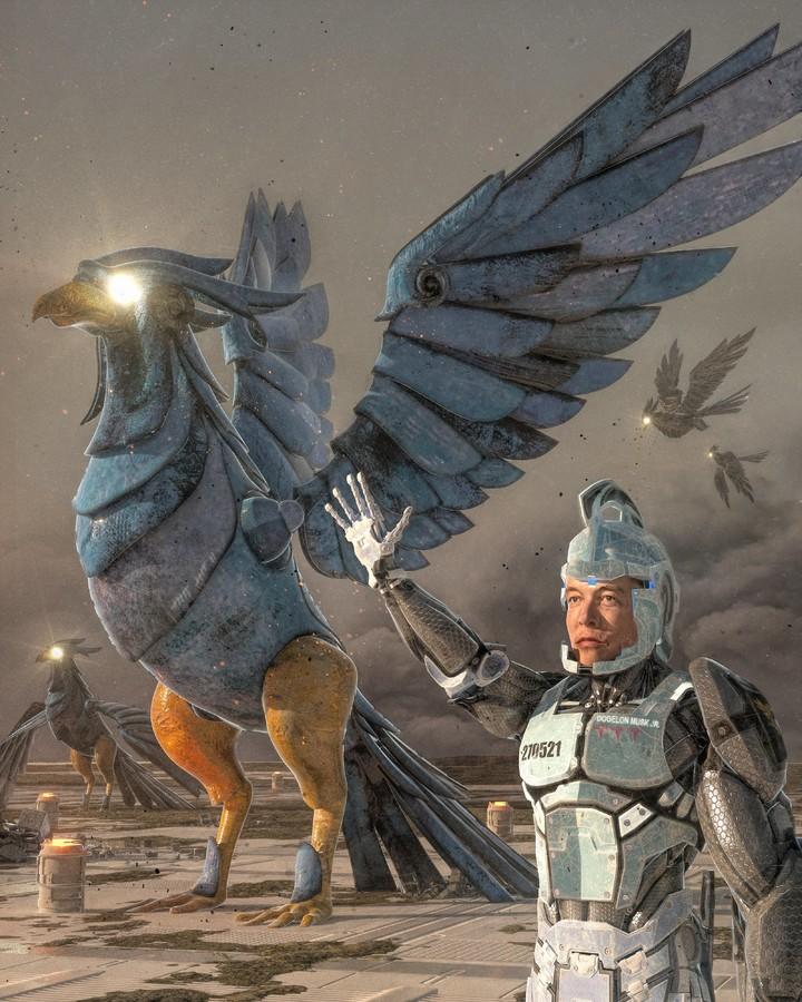 推特、小蓝鸟、X、 Twitter成品账户购买的潜力大揭秘，错过就可惜！