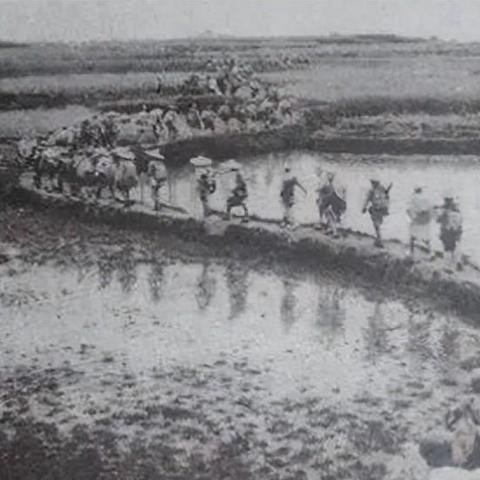 苏州市小学生用什么教材