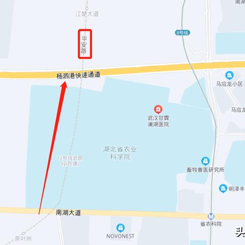 南宁市平安大道在哪个区