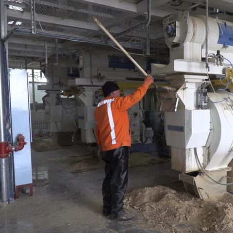 哈尔滨谷实饲料怎么样相关长尾关键词有哪些