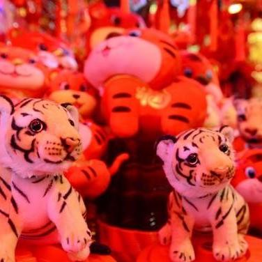 生肖虎几月生最好运势(属虎几月生人命运最好)