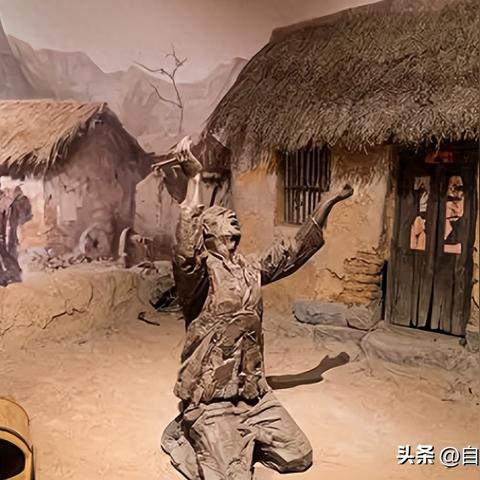 河南哪个地方有树皮