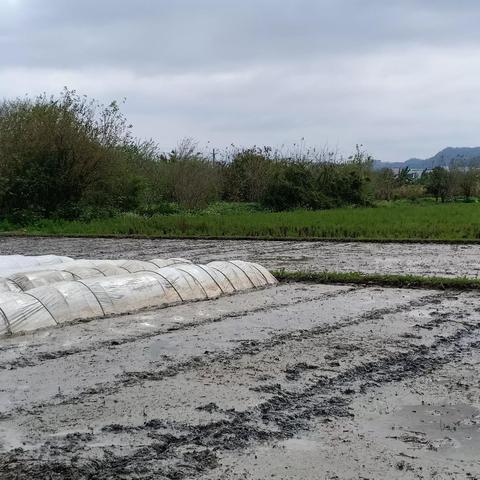 冬天去广东省怎么样