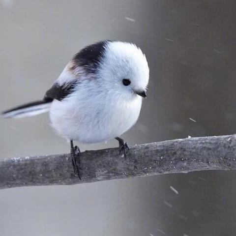 全球实时气温地图的长尾关键词有什么