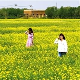 【天津 夜游】长尾关键词有什么
