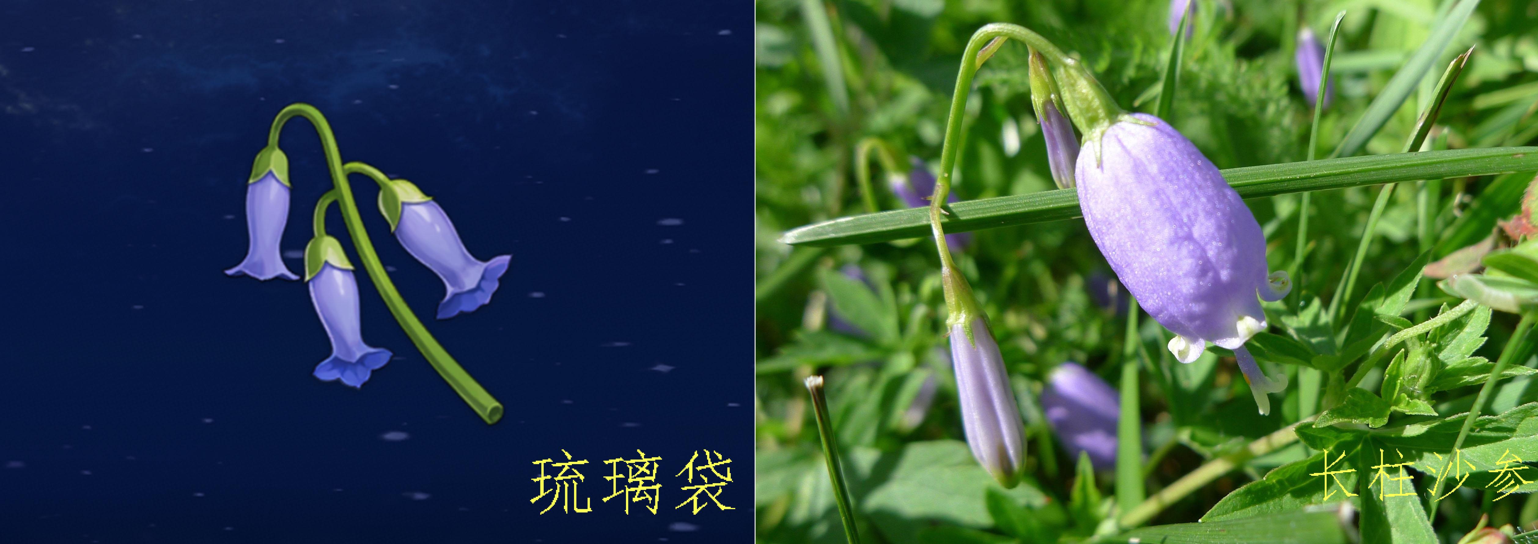 原神怎么合成抗寒药（原神山中之物任务怎么不扣血）