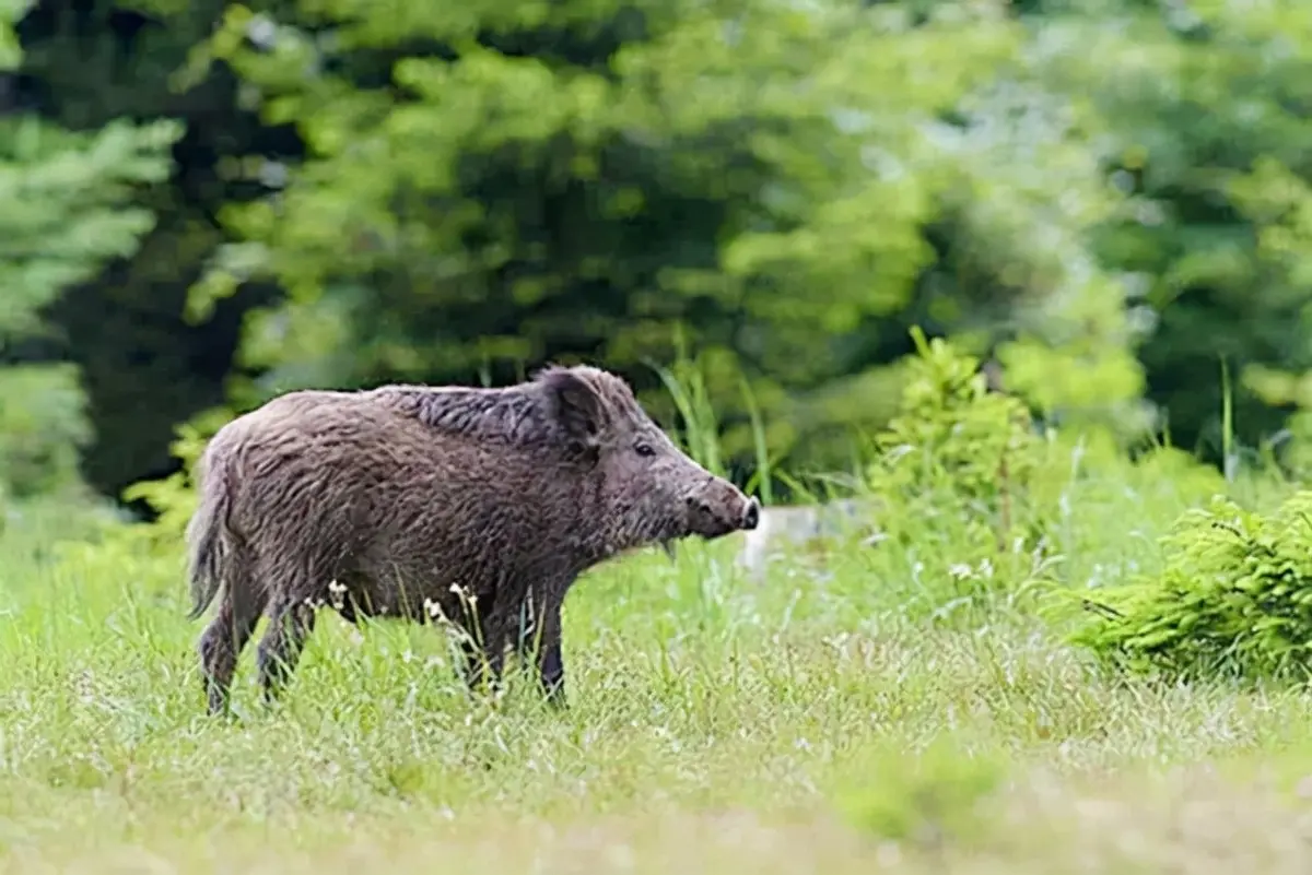如何努力一年赚10万的钱 一年如何赚够10万的钱