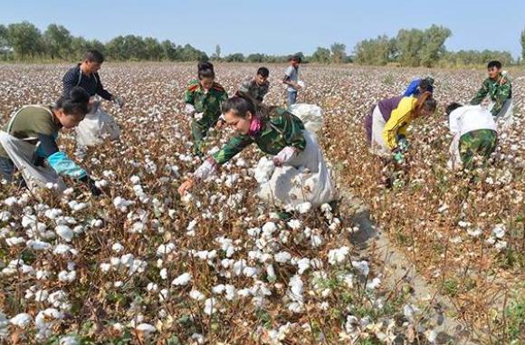 未来与发展论文模板2021如何正确认识当前的新发展格局论文