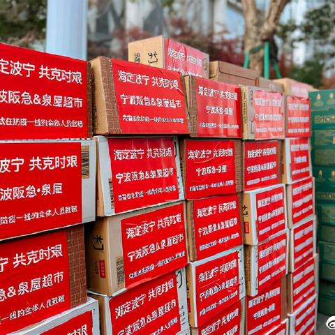 2025.11.24宁波今日气温变化情况