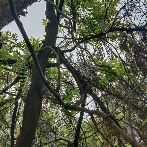 河南焦作在哪个省哪个市
