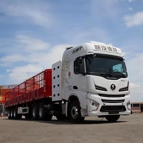 南宁市三好学生怎么填写