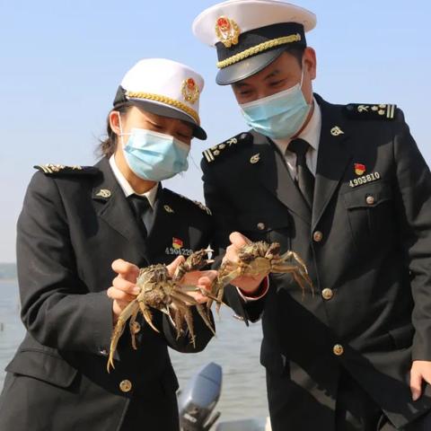 长沙洞庭湖大闸蟹相关长尾关键词有哪些