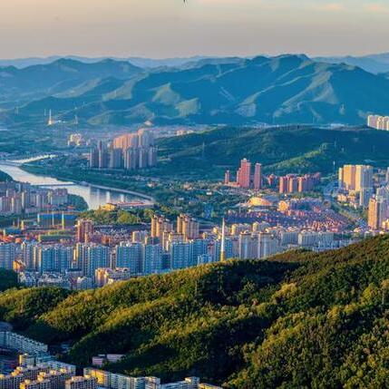 哈尔滨各区人口？