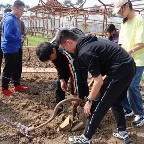 合肥市第45中怎么样