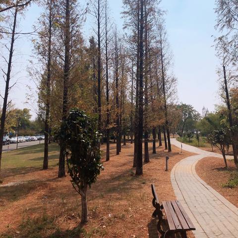 巴溪洲长沙春天相关长尾关键词有哪些