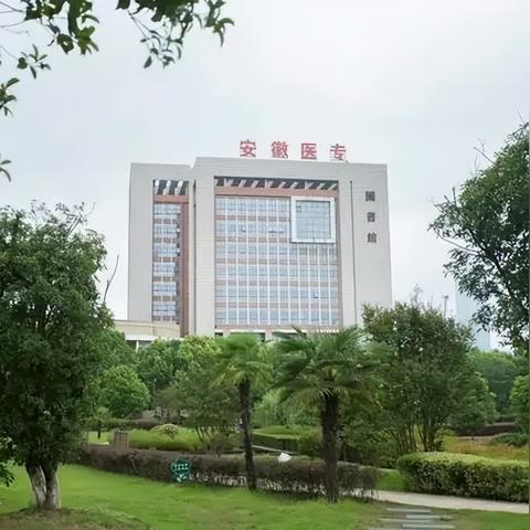 合肥师范专升本校区相关长尾关键词有哪些