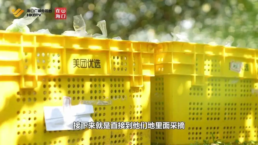 美团怎么歇业 美团歇业了吗