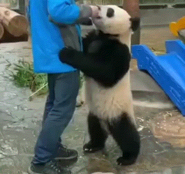 每日一乐，后续呢，我差这点流量？