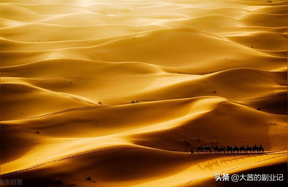 抖音副業(yè)方案怎么做創(chuàng)業(yè)負(fù)債中條友們能說說大家都是怎么搞副業(yè)的嗎 運(yùn)營百科
