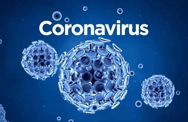 生殖医学杂志博士论文博士论文要达到什么水平