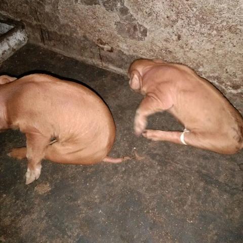 怎么知道自己八字好不好呢_怎么知道自己的八字是多少(怎么能知道自己八字)