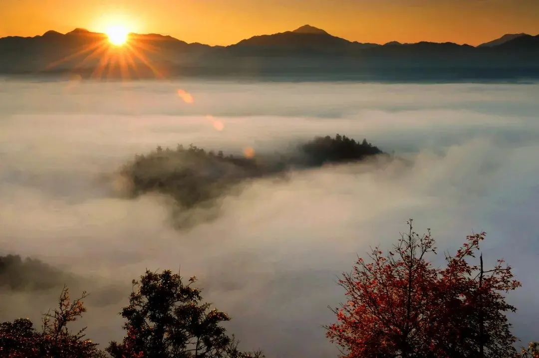 如何用抖音号快速变现金 如何用废品变现金