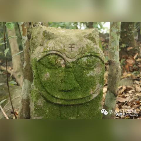 桂林虎都专柜地址相关长尾关键词有哪些