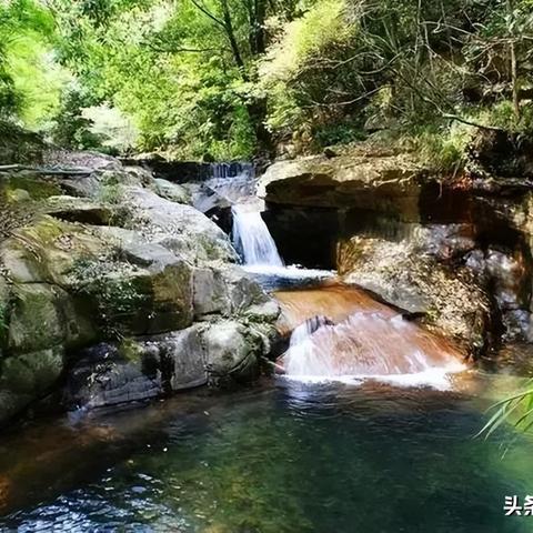 厦门市哪里可以亲子野餐