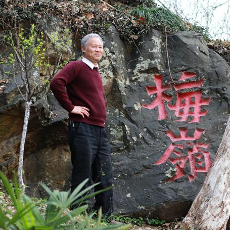 河南罗山府邸的相关长尾关键词有哪些