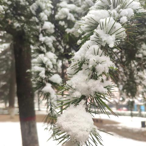 西安市大庆路有什么特点