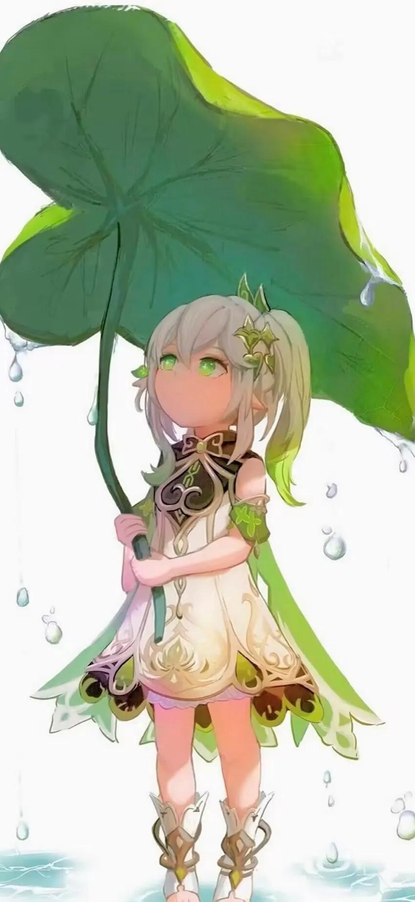 原神怎么看自己的草（原神晴天的经纬怎么开）