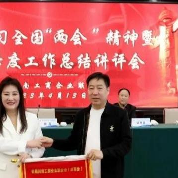 河南什么企业最大，最强？