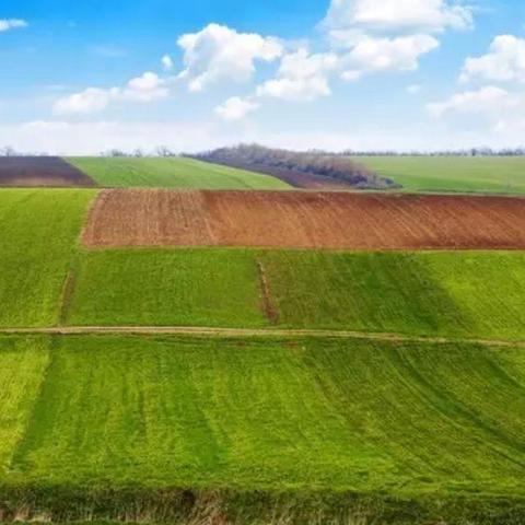 河南进口牛奶的相关长尾关键词有哪些