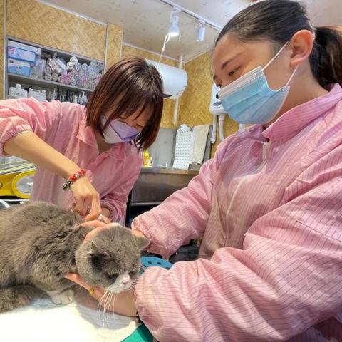 兰州市哪里按摩好
