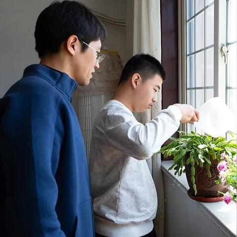 石家庄市东营纸箱厂的长尾关键词有什么
