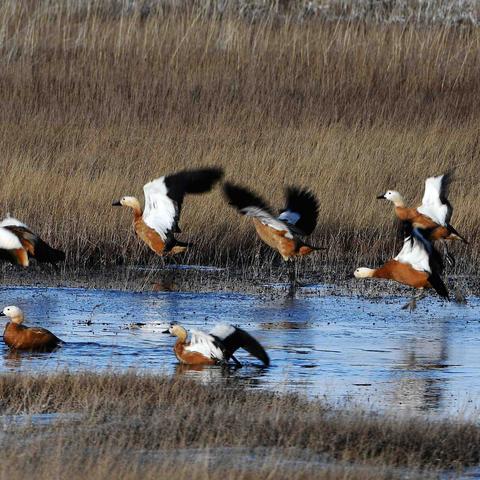 广州市白云区有什么部队