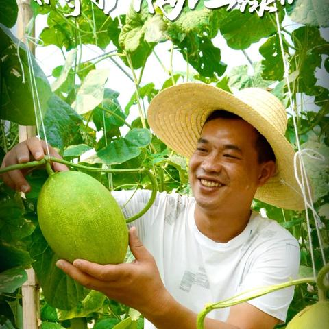 桂林青狮潭水库风景视频相关长尾关键词有哪些