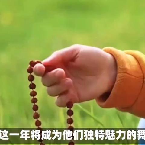 生肖鼠2024年运势详解(属鼠人2024年运势及运程每月运程)