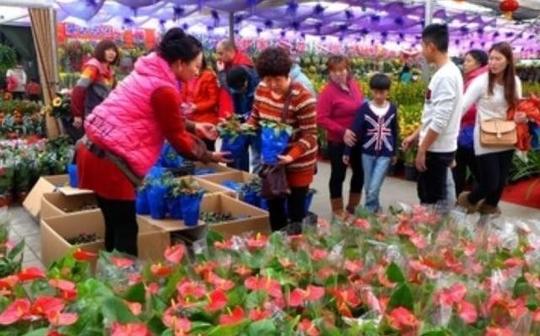 暗访花卉市场，搬运小伙：这“3种”花最好别买，其他的没事
