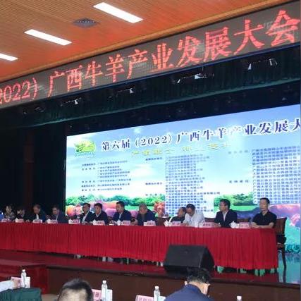 南宁新闻摘抄2022的相关长尾关键词有哪些