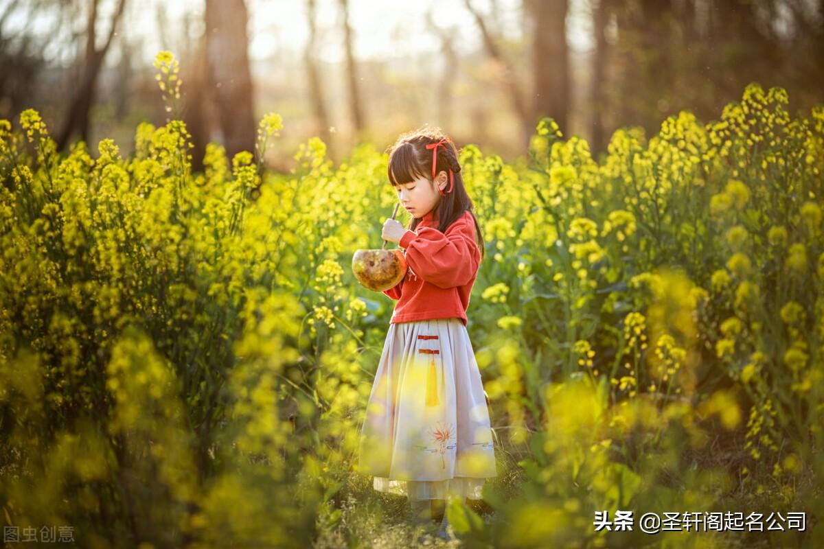 属虎的怎么起名女宝宝(生肖猴最不该做什么)