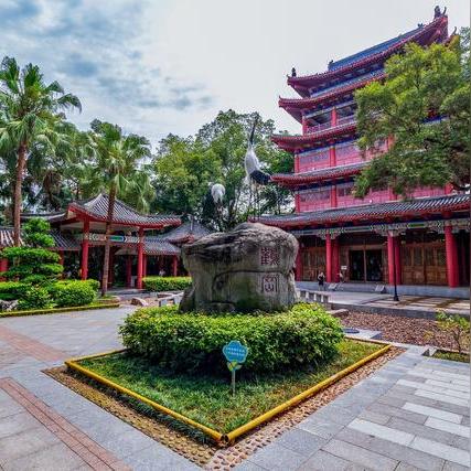 桂林市哪里有蛇卖的地方