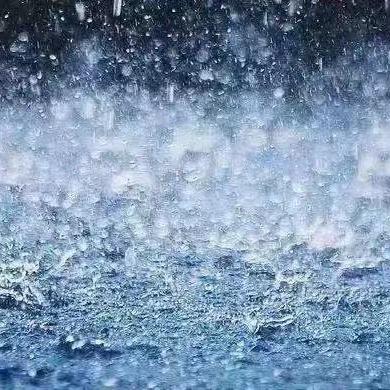 2025.12.4天津最新天气预报查询