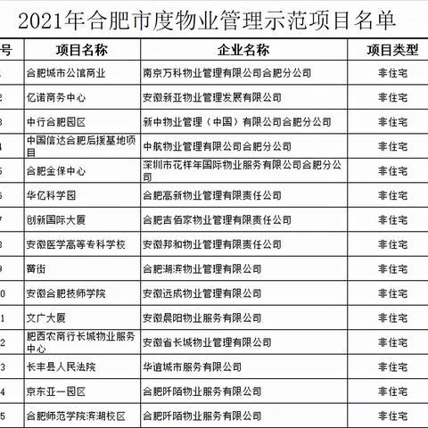合肥市黉街属于哪个公司