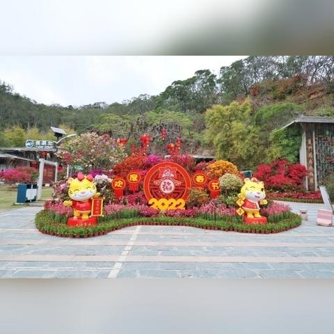 厦门六月花海的相关长尾关键词有哪些