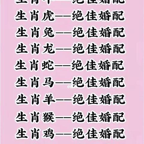 怎么用九宫推命理_九宫如何算如何推(九宫讲解)