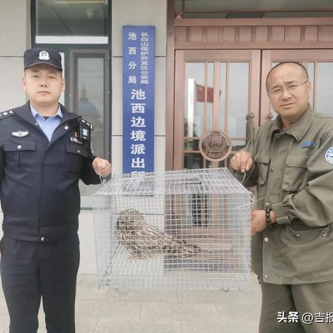 没用的纸箱可以做什么的长尾关键词有哪些