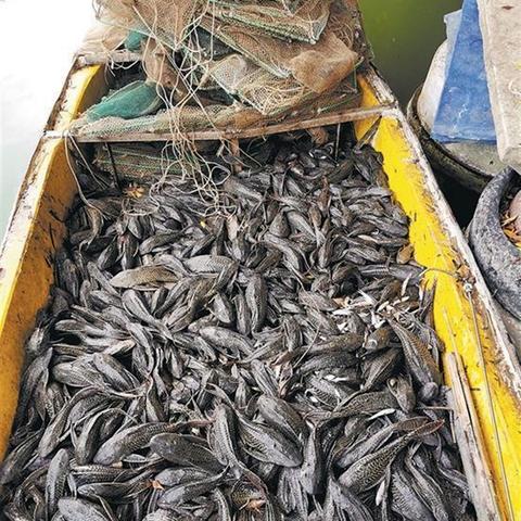 福建泉州水质怎么样？